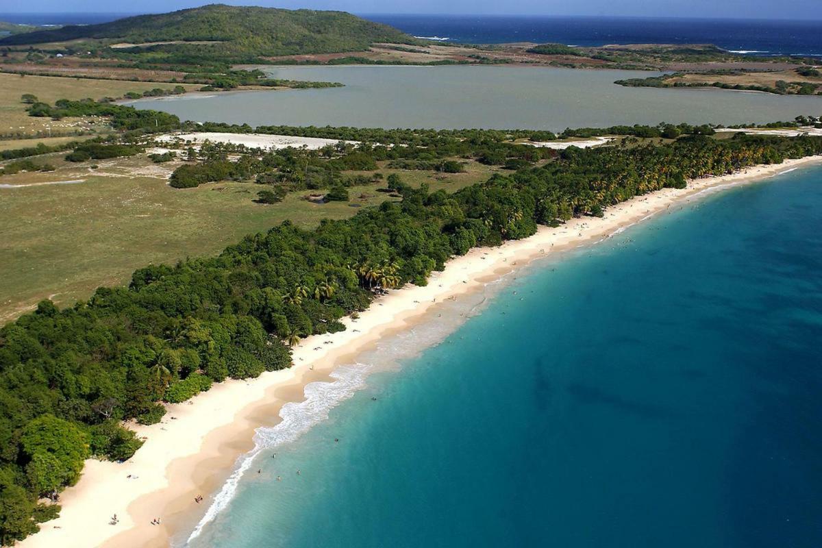 Holidays In Martinique - Ravenala Sainte-Anne Zewnętrze zdjęcie