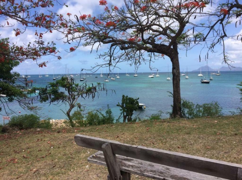 Holidays In Martinique - Ravenala Sainte-Anne Zewnętrze zdjęcie